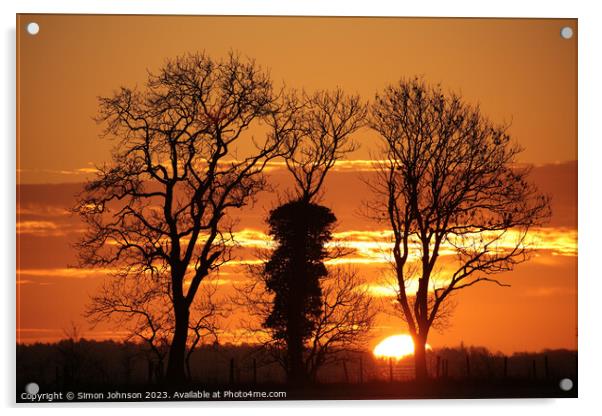 sunrise  Acrylic by Simon Johnson