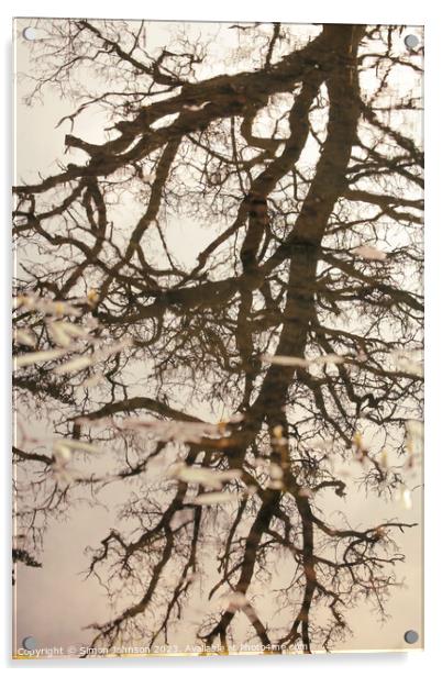 tree reflections Acrylic by Simon Johnson