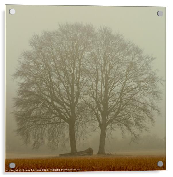 Misty trees Acrylic by Simon Johnson