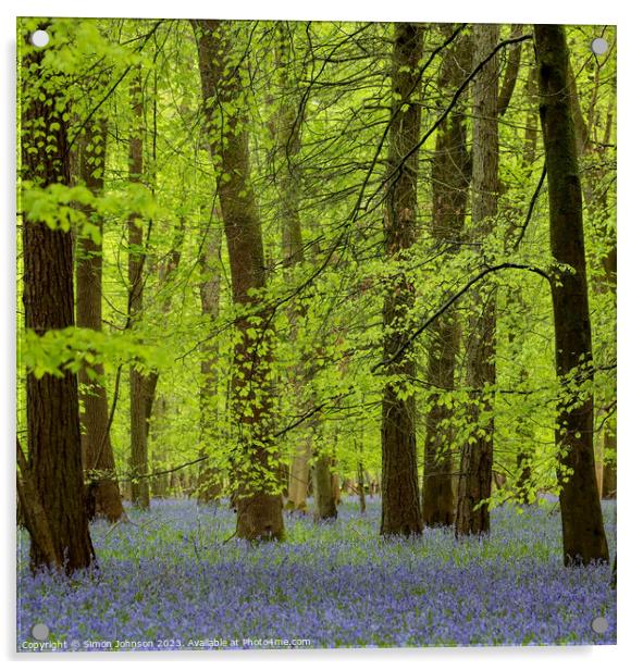  spring woodland with Bluebells Acrylic by Simon Johnson