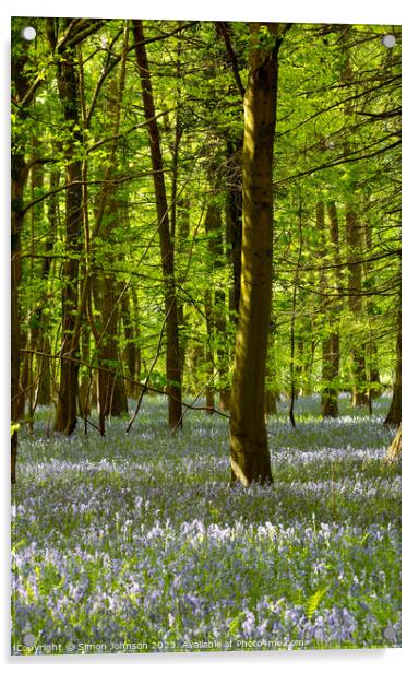 Sunlit Bluebell Woodland Acrylic by Simon Johnson