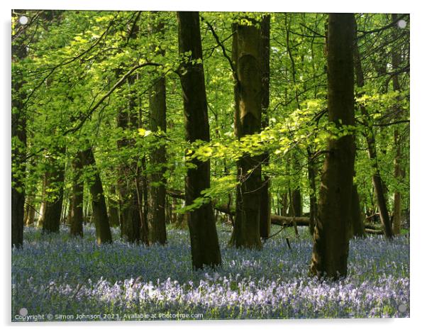 Bluebell Woodland  Acrylic by Simon Johnson