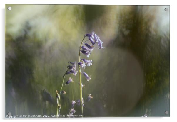 A blurry image of a flower Acrylic by Simon Johnson