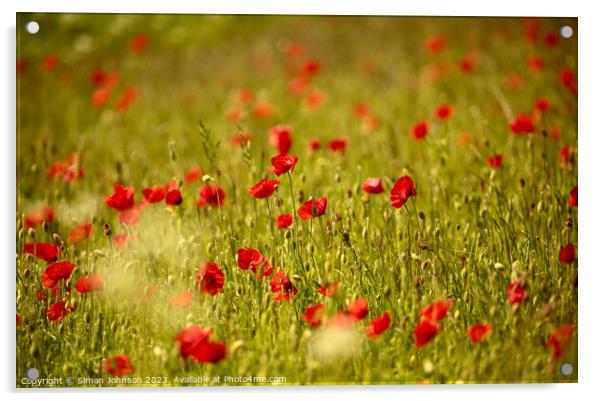 summer Poppy  field Acrylic by Simon Johnson