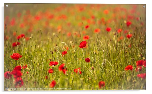 Poppy field  Acrylic by Simon Johnson