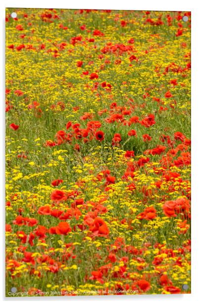 poppy and wild flower field Acrylic by Simon Johnson