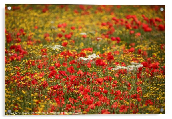 wild flower meadow Acrylic by Simon Johnson