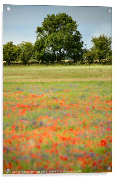 wild flower meadow Acrylic by Simon Johnson