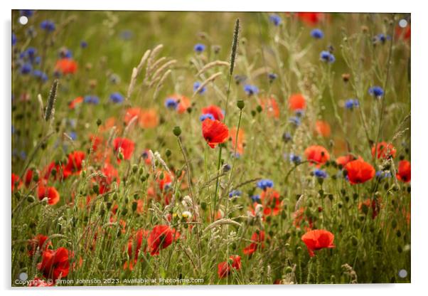 wild flower field Acrylic by Simon Johnson