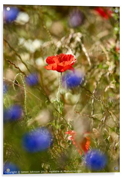 "Vibrant Coquelicot Blossom in Nature" Acrylic by Simon Johnson