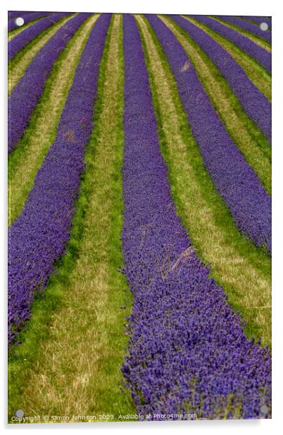 Lavender lines Acrylic by Simon Johnson