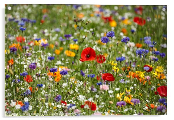 Poppy  and wild flower field Acrylic by Simon Johnson