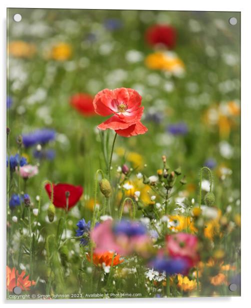 Poppy and wild flowers Acrylic by Simon Johnson