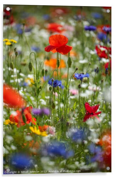 Vibrant Splendour Revealed: Microcosmic Floral Stu Acrylic by Simon Johnson