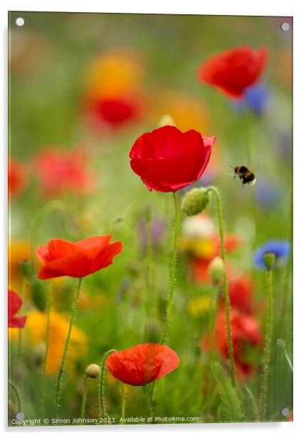 poppy flower with bee Acrylic by Simon Johnson