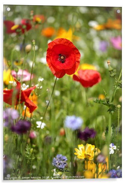 Poppy and wild flower meadow Acrylic by Simon Johnson