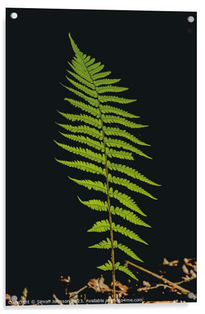 Whispering Ferns: A Microcosm Unveiled Acrylic by Simon Johnson