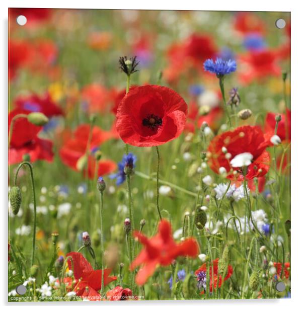 Poppy field Acrylic by Simon Johnson