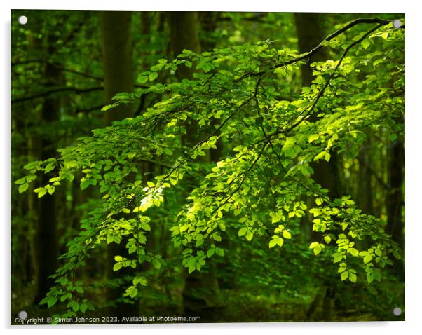 sunlit leaves Acrylic by Simon Johnson