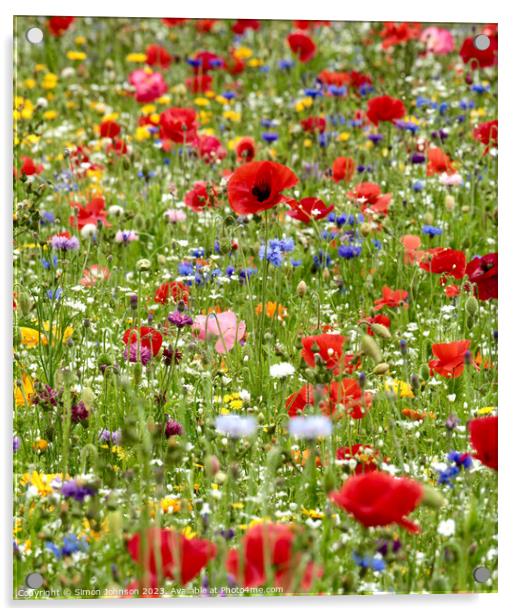 wild flowers with poppies Acrylic by Simon Johnson