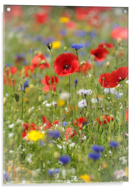  poppy and meadow flowers Acrylic by Simon Johnson