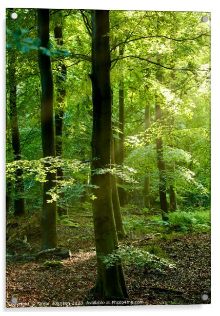 Psunlit woodland Acrylic by Simon Johnson