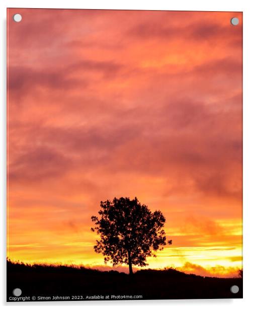 Tree Silhouette at sunrise  Acrylic by Simon Johnson