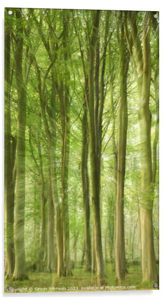 woodland Acrylic by Simon Johnson