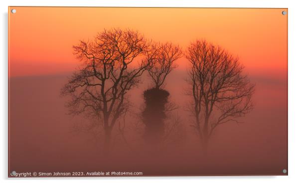 Trees in mist Acrylic by Simon Johnson