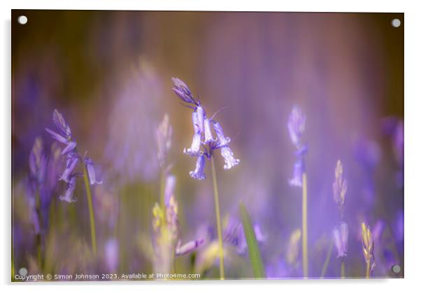 Bluebells soft focus Acrylic by Simon Johnson