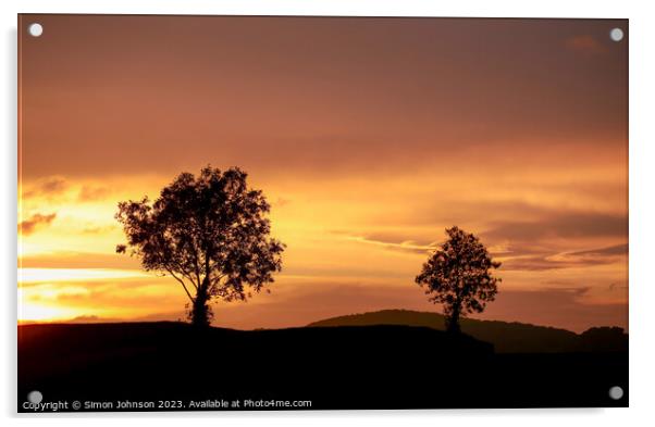  tree silhouettes  at sunset Acrylic by Simon Johnson