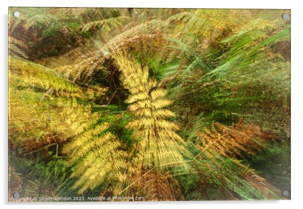 creative ferns Acrylic by Simon Johnson