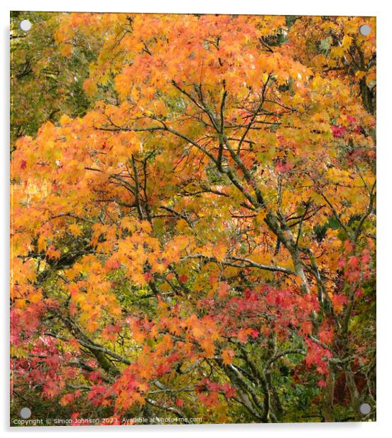 Acer autumn Leaves  Acrylic by Simon Johnson