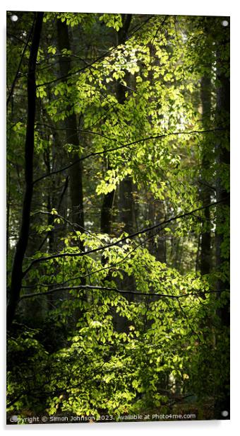 Sunlit leaves  Acrylic by Simon Johnson