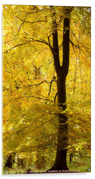 Golden Leaves Acrylic by Simon Johnson