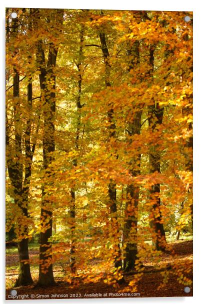 Autumnal woods Acrylic by Simon Johnson