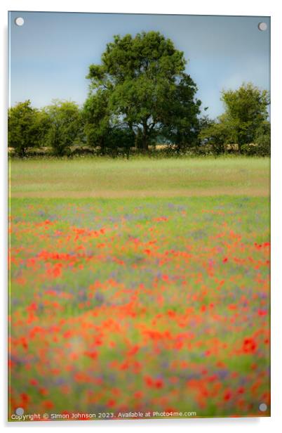 Cotswold poppies Acrylic by Simon Johnson