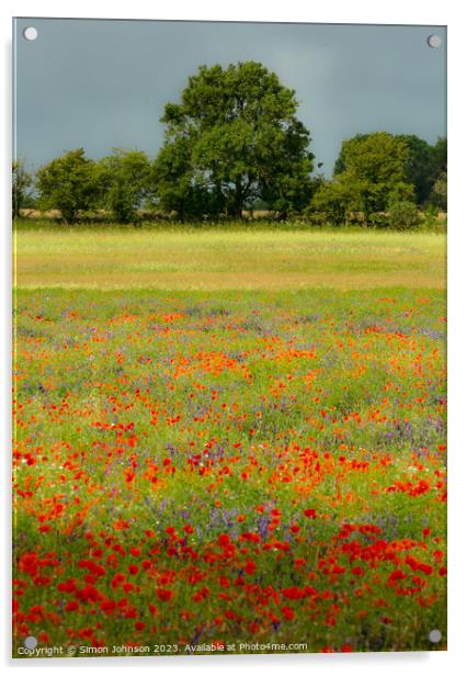 Impressionist Poppies Acrylic by Simon Johnson