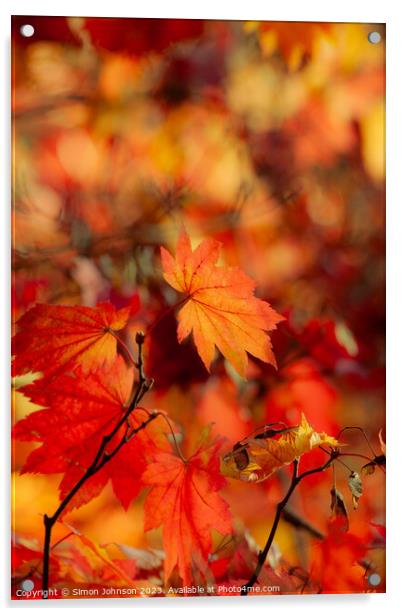 Autumn leaves soft focus Acrylic by Simon Johnson