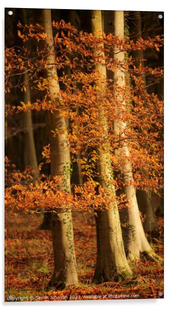 Sunlit autumn leaves  Acrylic by Simon Johnson