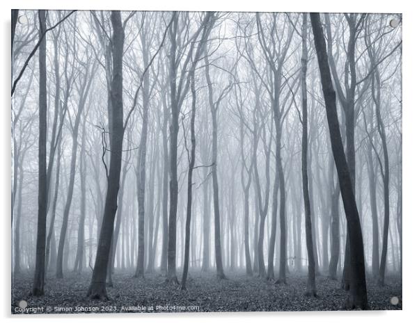 Woodland mist Acrylic by Simon Johnson