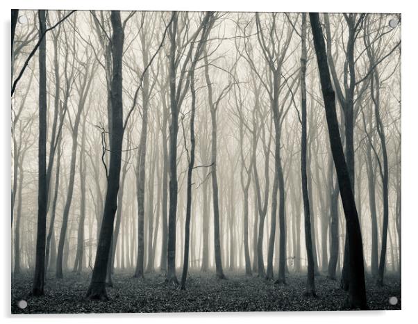 Woodland mist monochrome  Acrylic by Simon Johnson