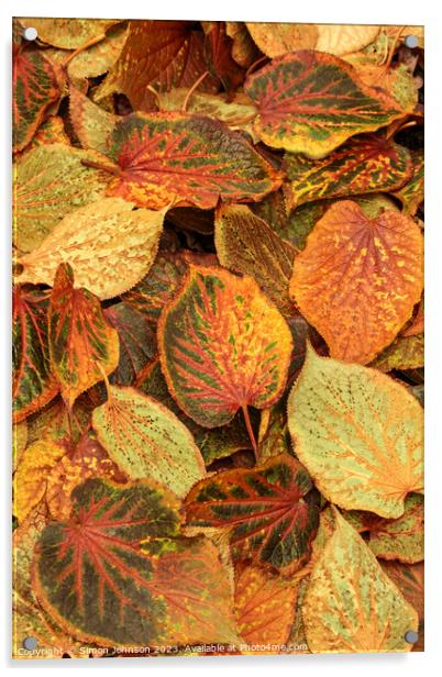 Frosted autumn leaves  Acrylic by Simon Johnson
