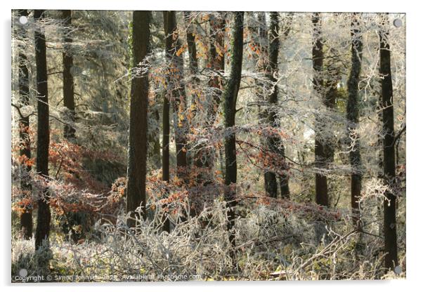 Woodland Hoar frost Acrylic by Simon Johnson