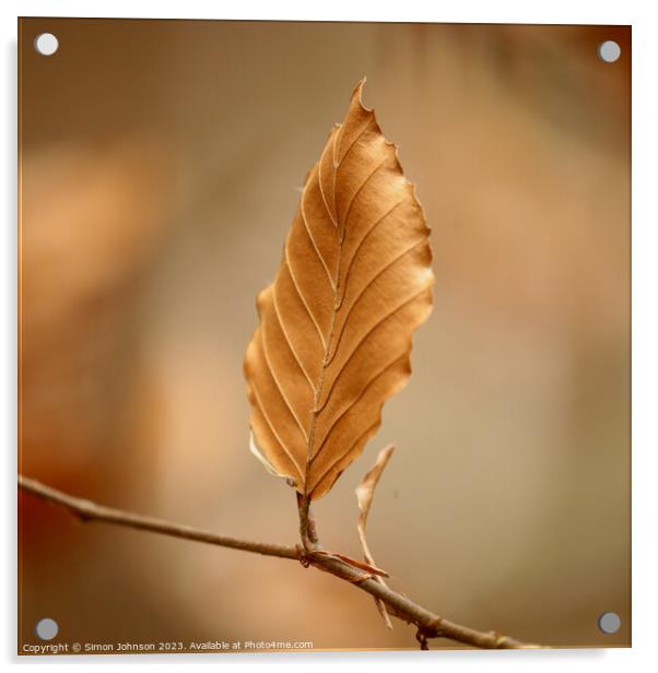 bronze leaf Acrylic by Simon Johnson