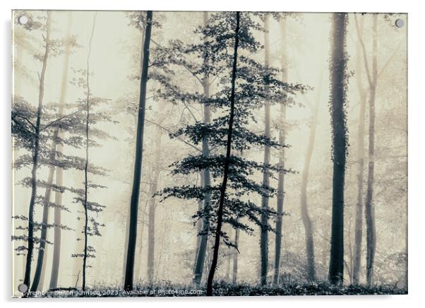Trees in the mist Acrylic by Simon Johnson