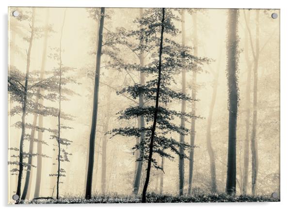 trees in the mist Acrylic by Simon Johnson
