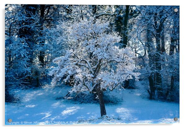winter tree Acrylic by Simon Johnson