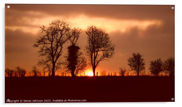Tree silhouette sunrise  Acrylic by Simon Johnson
