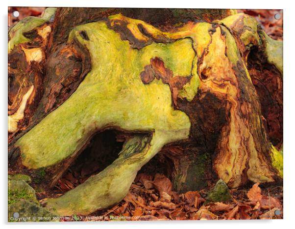 woodland bark with lichen Acrylic by Simon Johnson